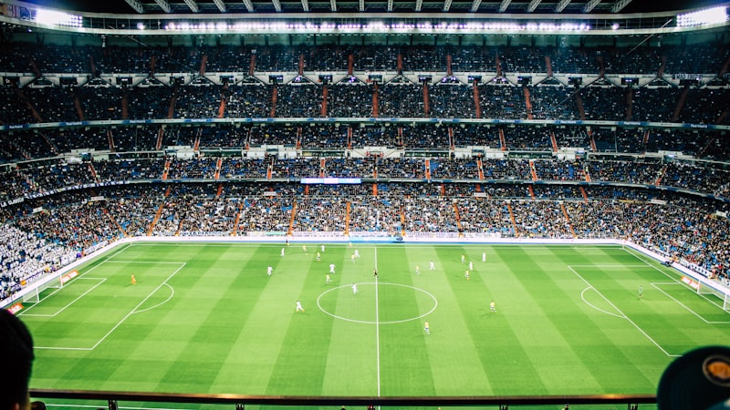 世界杯比赛现场观众欢呼 - 坐满球迷的体育场